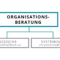 organisationsberatung